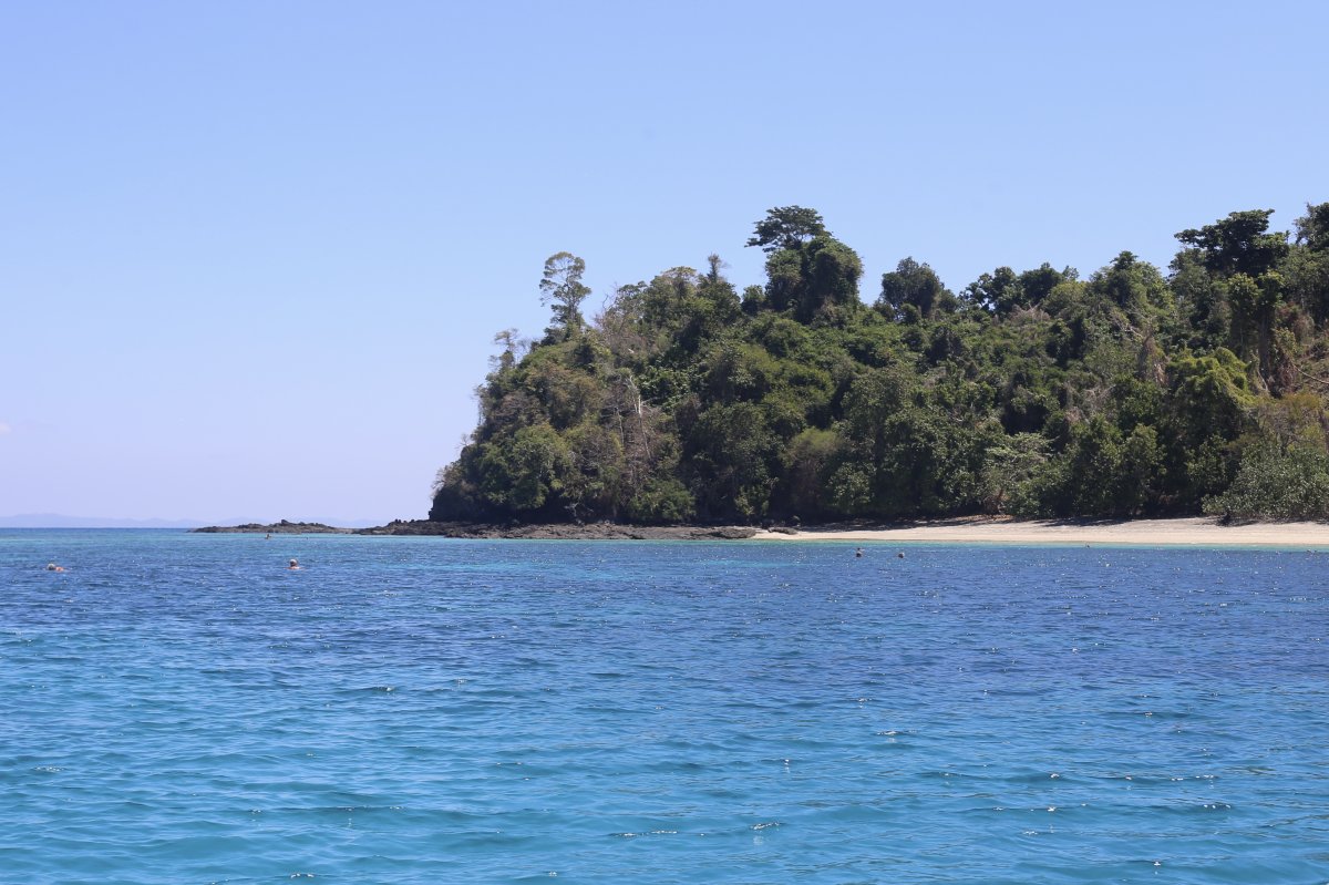 THE ISLAND OF SCENTS