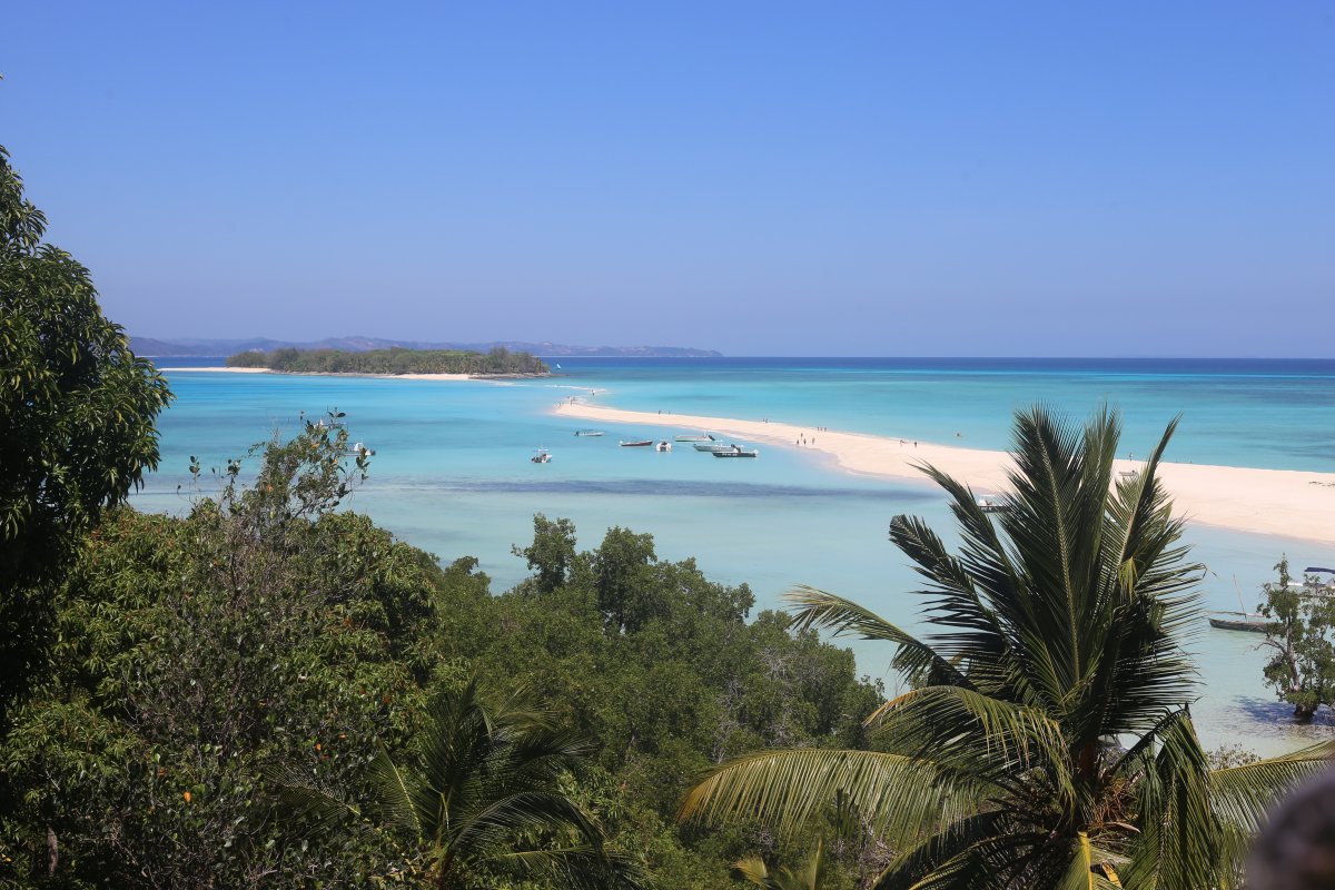 THE ISLAND OF SCENTS